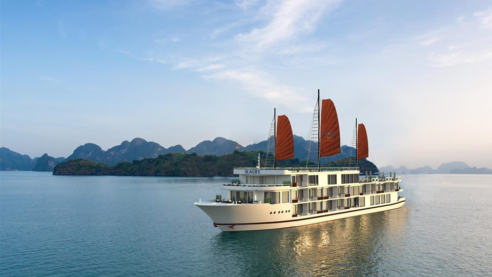 Du thuyền sea life| Du thuyền 4 sao. Du thuyền sea life là du thuyền 4 sao trang bị ghế hồ bơi giả mây trên boog tắm nắng.